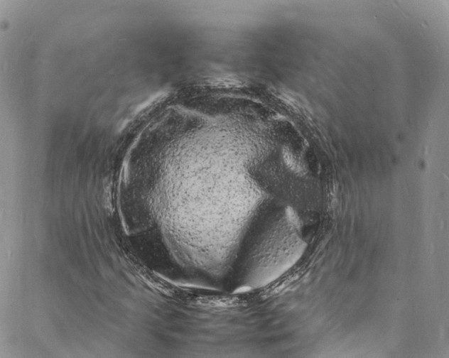 X0000088031205200705251108