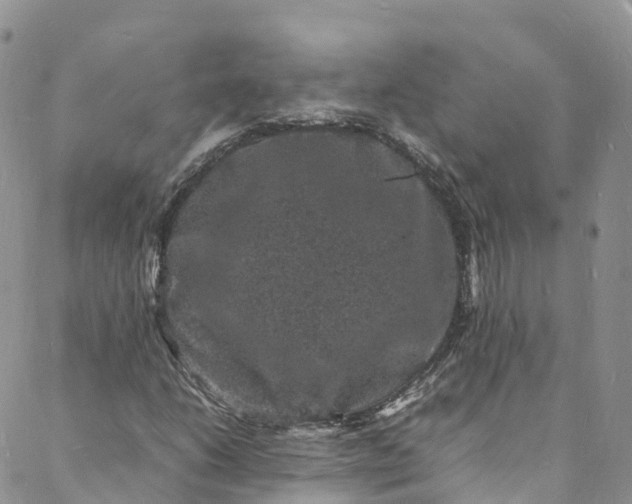 X0000088031206200705251108