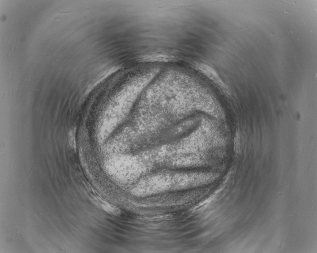 X0000088031209200705251108