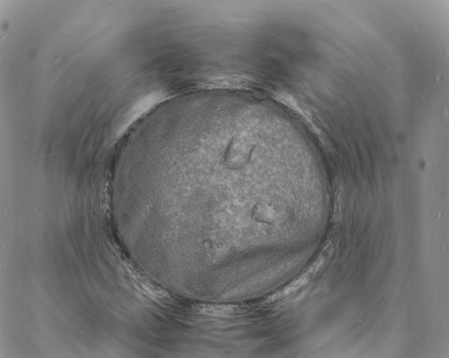 X0000088031211200705251108