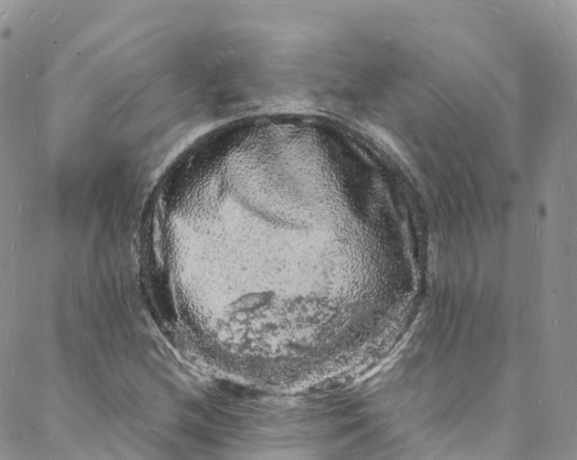 X0000088031212200705251108