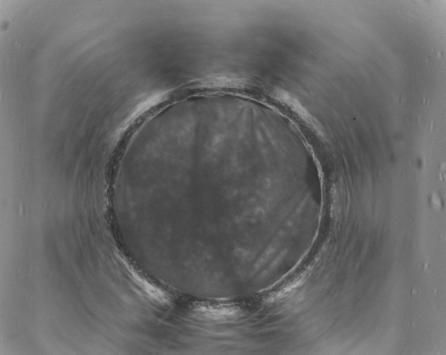 X0000088031213200705251108