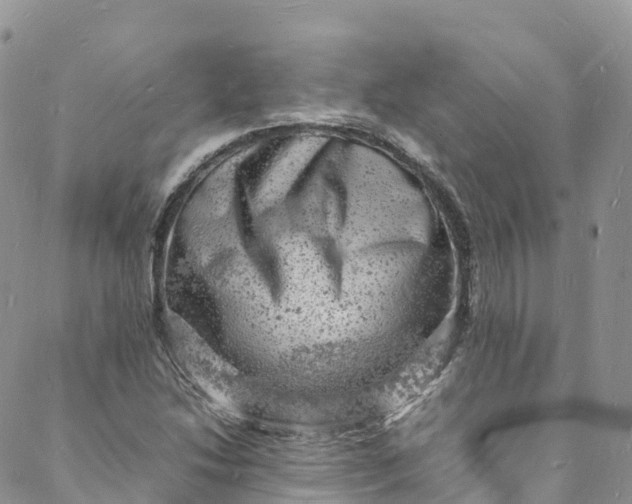 X0000088031214200705251108