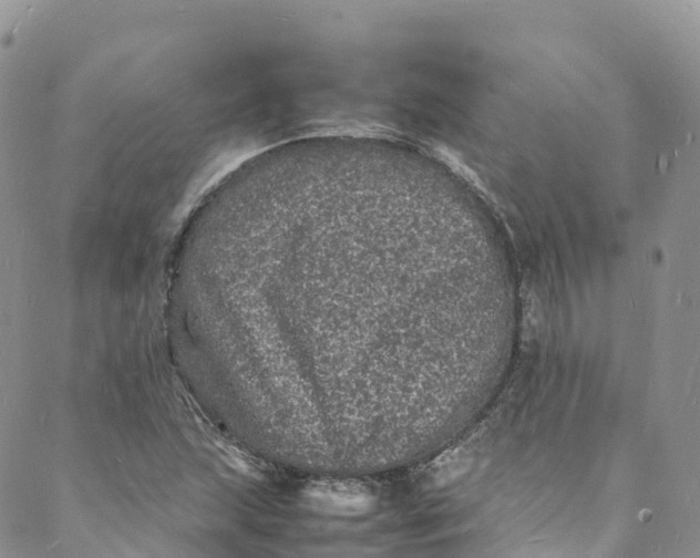 X0000088031215200705251108