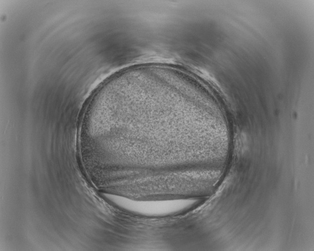 X0000088031220200705251108