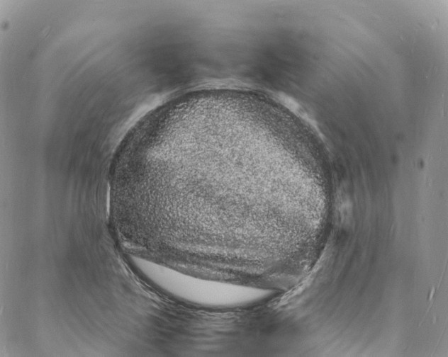 X0000088031221200705251108