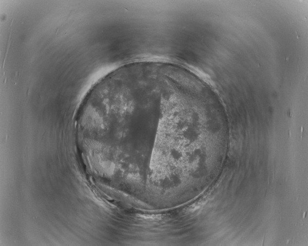 X0000088031223200705251108