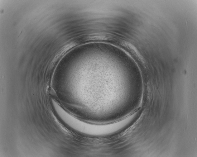 X0000088031225200705251108