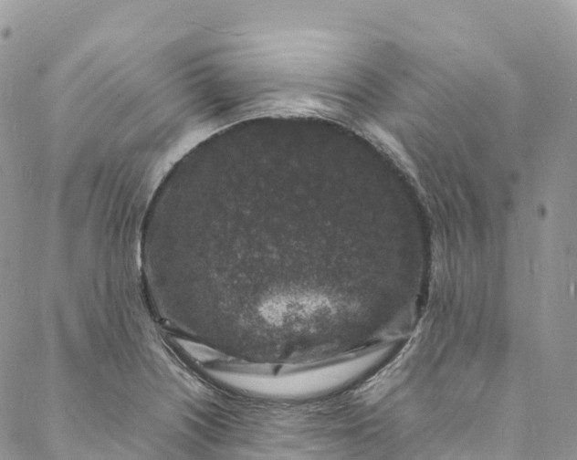 X0000088031226200705251108