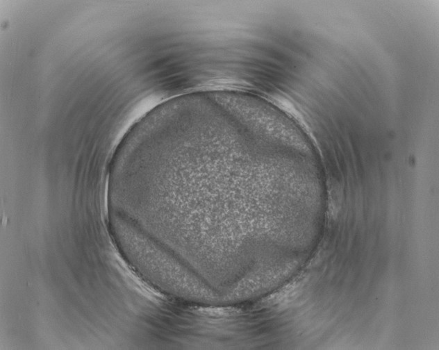 X0000088031227200705251108