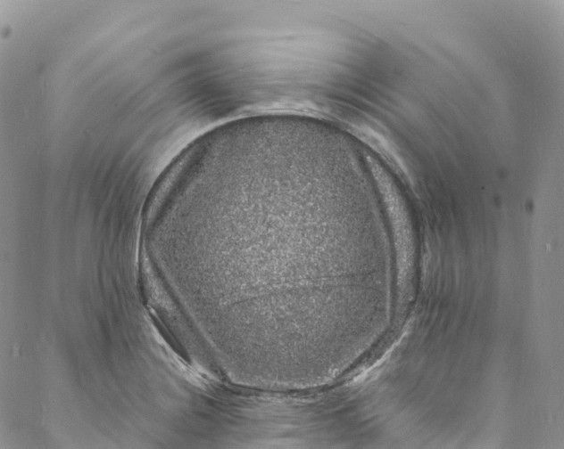 X0000088031228200705251108