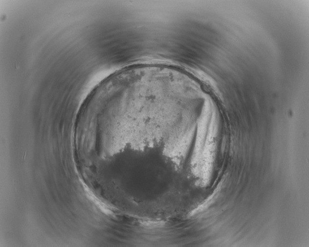 X0000088031231200705251108