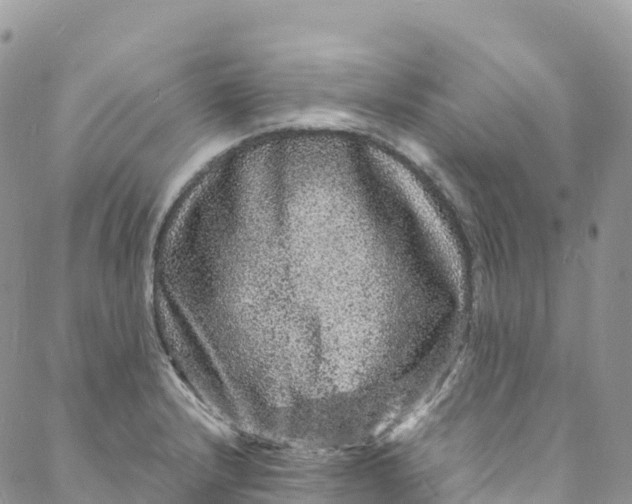 X0000088031232200705251108