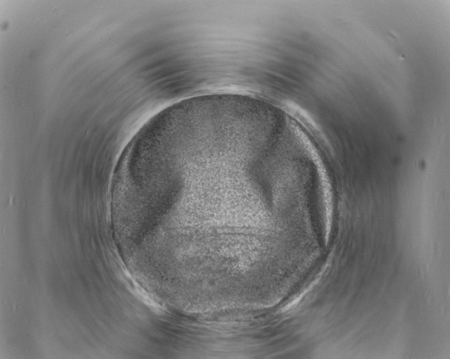 X0000088031236200705251108