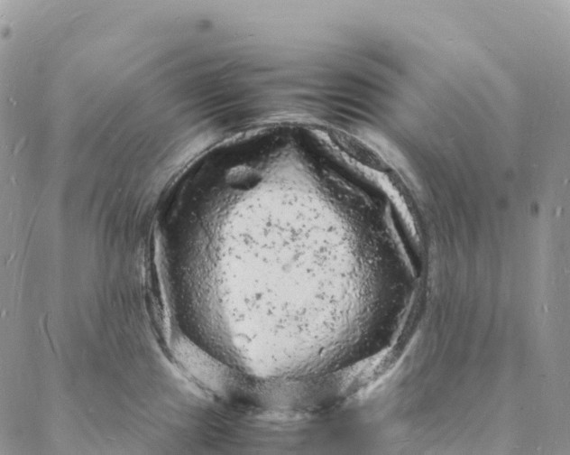 X0000088031241200705251108