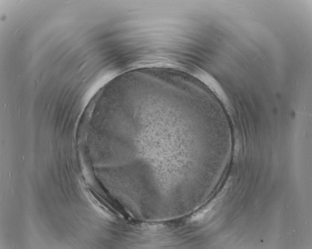 X0000088031242200705251108