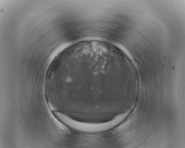 X0000088031245200705251108