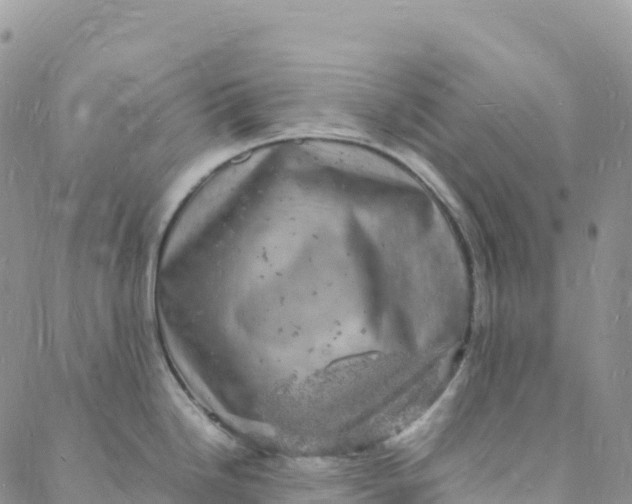 X0000088031246200705251108