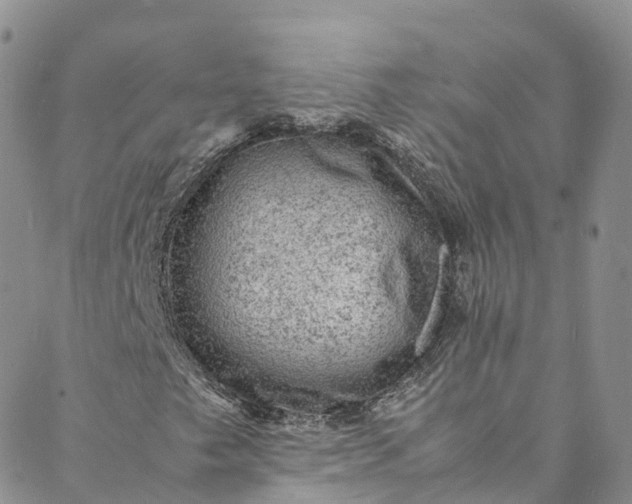 X0000088031249200705251108