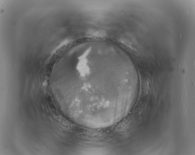 X0000088031254200705251108