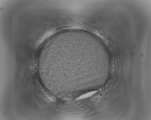 X0000088031255200705251108