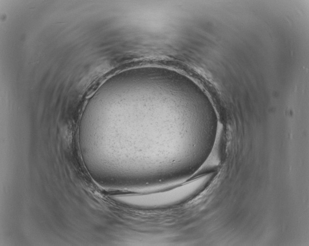 X0000088031257200705251108