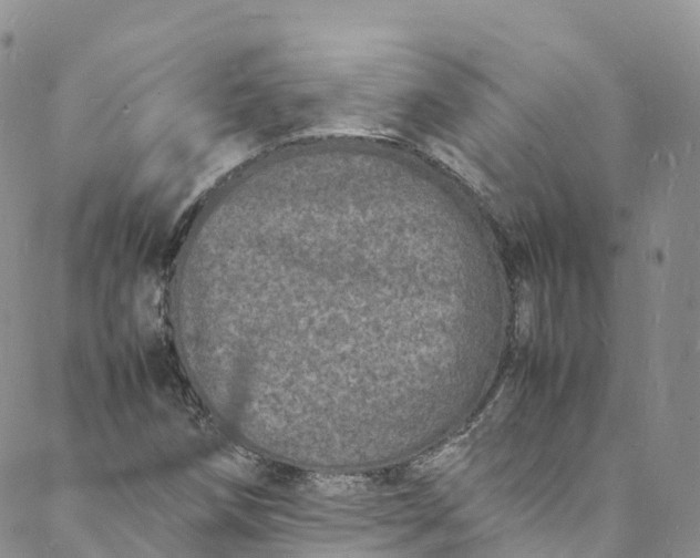 X0000088031258200705251108