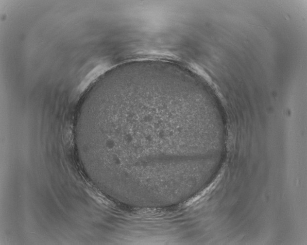 X0000088031259200705251108