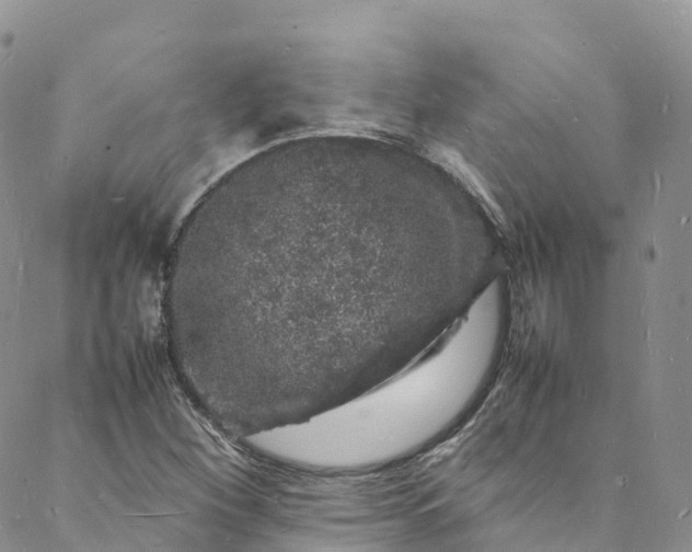 X0000088031260200705251108