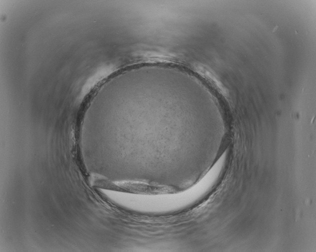 X0000088031261200705251108