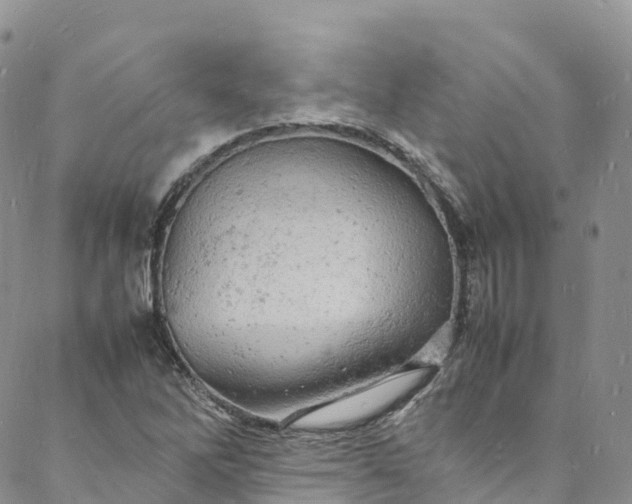 X0000088031262200705251108