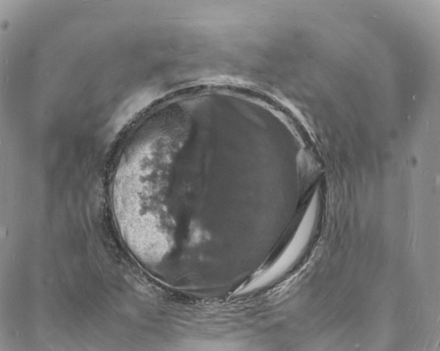 X0000088031263200705251108