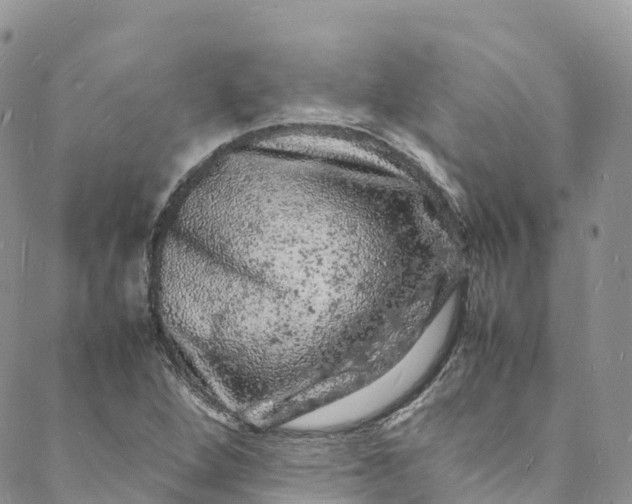 X0000088031264200705251107