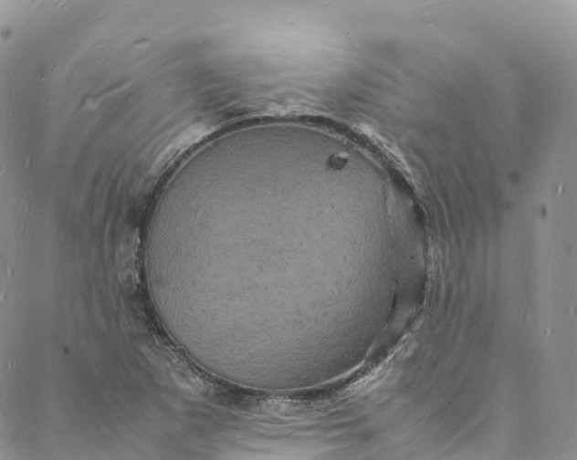 X0000088031265200705251107