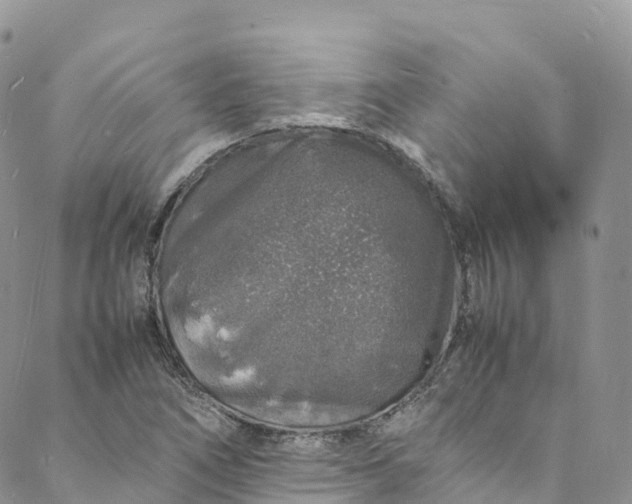 X0000088031266200705251107