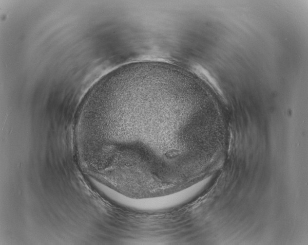 X0000088031268200705251107