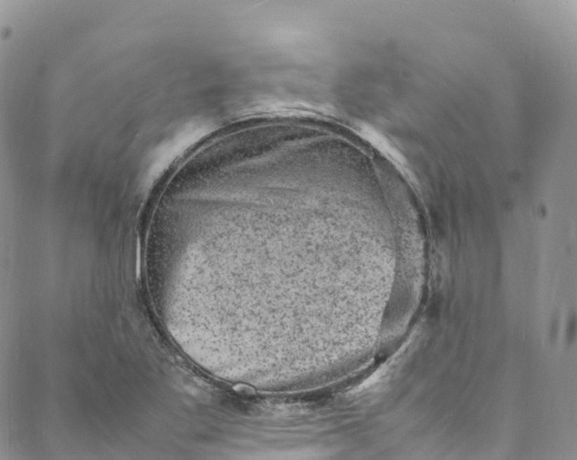 X0000088031269200705251107