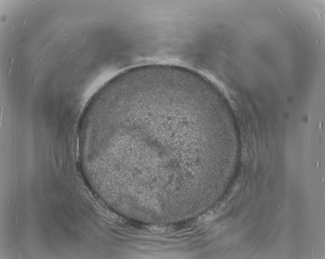 X0000088031271200705251107