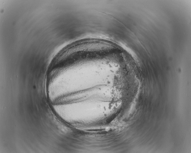 X0000088031272200705251107