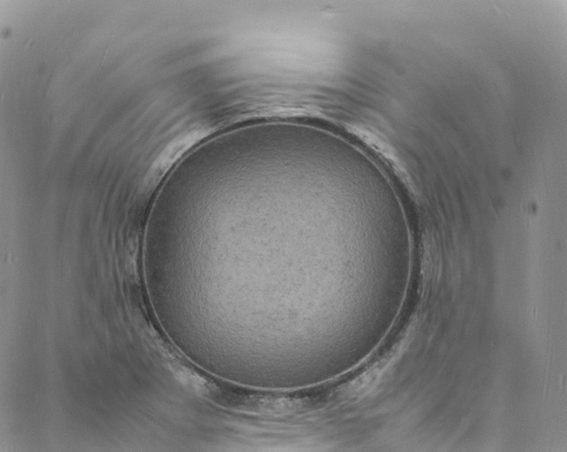 X0000088031273200705251107