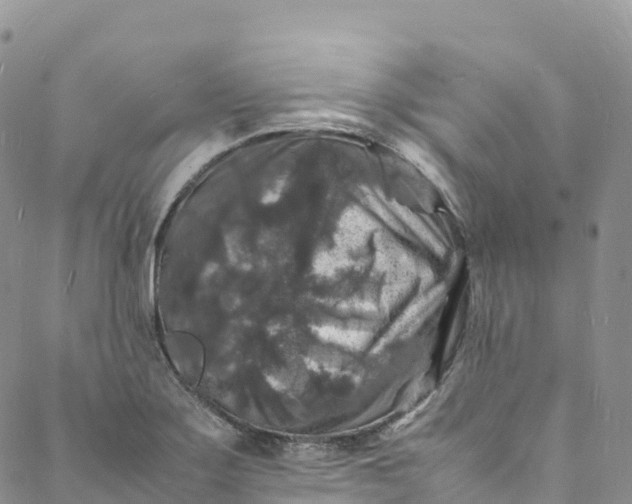 X0000088031275200705251107