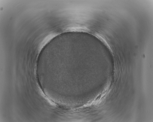 X0000088031277200705251107