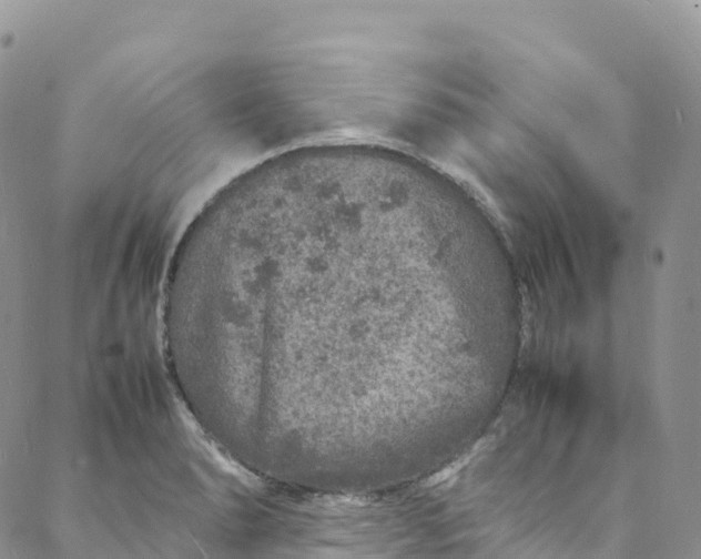 X0000088031278200705251107