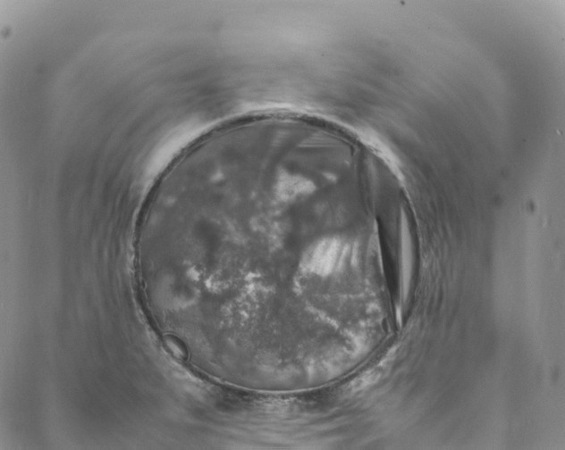 X0000088031279200705251107