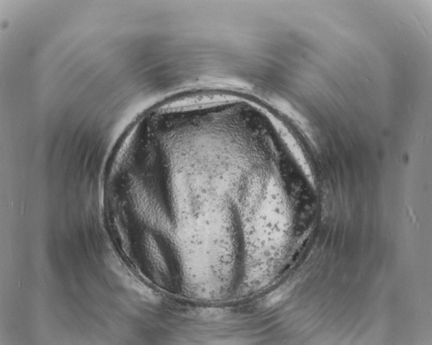 X0000088031280200705251107