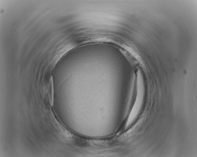 X0000088031281200705251107