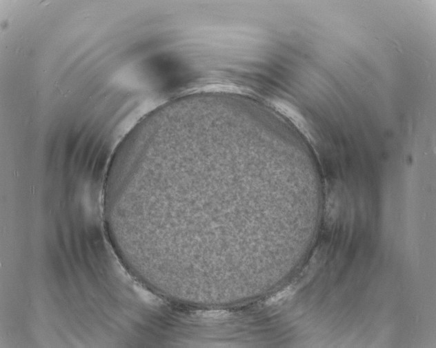 X0000088031282200705251107