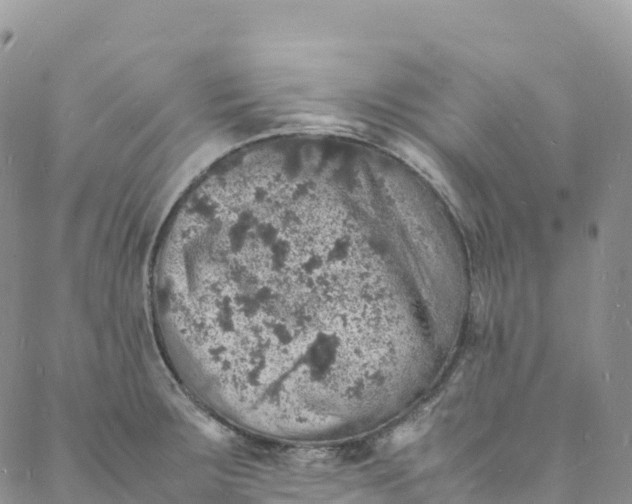 X0000088031283200705251107