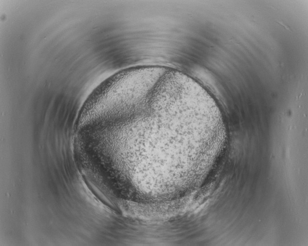 X0000088031284200705251107