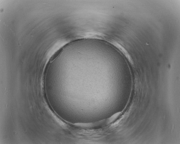 X0000088031285200705251107